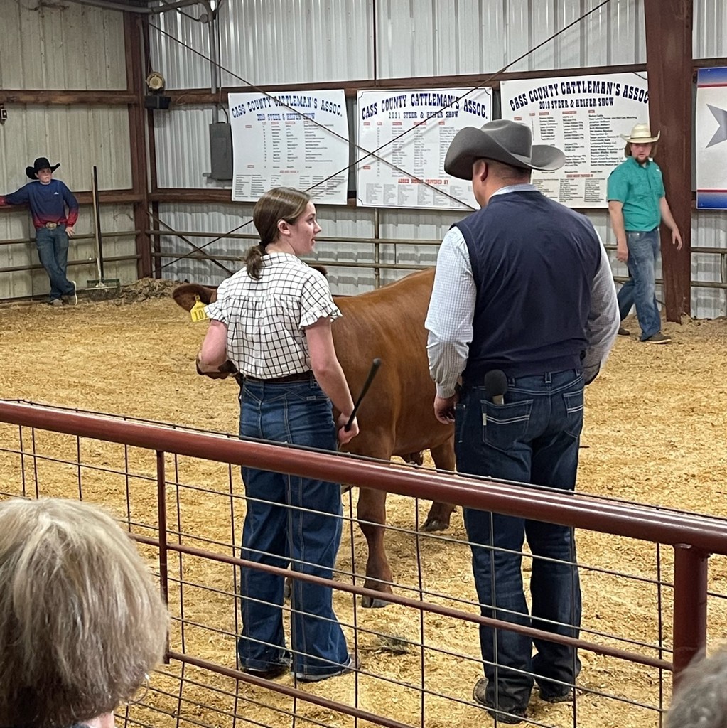 Sadie Dodd talking to the judge